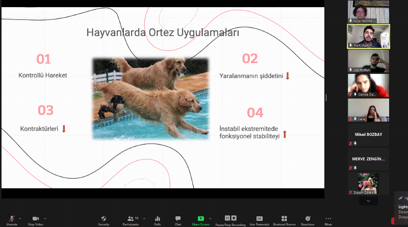 Hayvanlarda kullanılan ortez ve protez uygulamaları